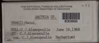 Image Associated With the Occurence